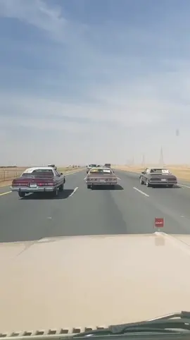 #الشعب_الصيني_ماله_حل 