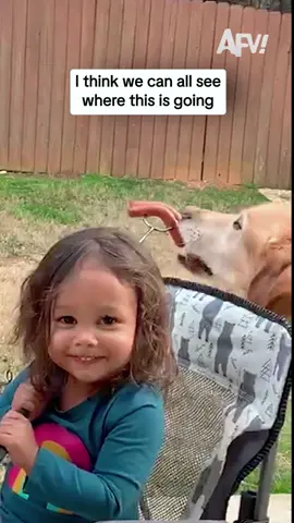 Snack Rule: Always Buy Double 🐾🍗🤣 #fyp #dog #dogs #doglover #dogsoftiktok 