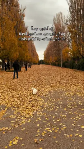 تذكير 01-10 ✨🍁