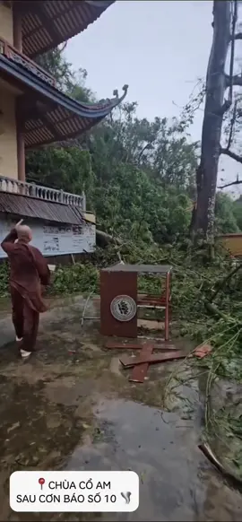 🌪️ Sau cơn bão đi qua… 🌪️ Nam mô Bổn Sư Thích Ca Mâu Ni Phật 🙏 Cơn bão vừa qua đã làm một số hạng mục trong chùa hư hại, cây cối gãy đổ… nhưng nhờ hồng ân Tam Bảo, quý Thầy và Phật tử trong chùa đều được bình an. 🌿 Quý Thầy cũng xin gửi lời thăm hỏi đến toàn thể Phật tử gần xa: sau bão, tình hình người và tài sản của quý vị ra sao? Nguyện cầu mọi nhà đều được an ổn, sớm vượt qua khó khăn, cùng nhau dựng xây lại đời sống an lành. 🙏 #chuacoam #xuhuong 