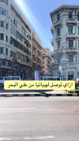 ازاي توصل لهيباتيا من علي البحر في المنشيه  #هيباتيا #الاسكندريه #artspace #المنشيه #workspace 