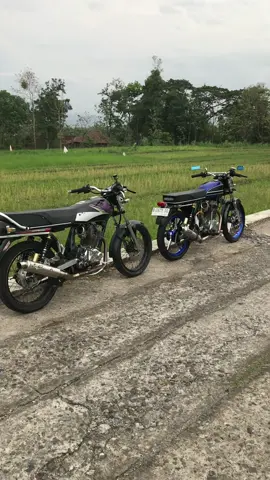 🤩