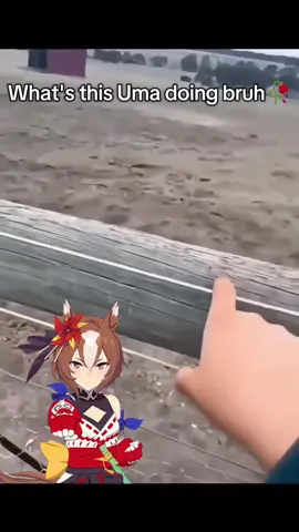 and here I thought she's going to practice martial arts #umamusume #umamusumeprettyderby #uma #fyp #viral 