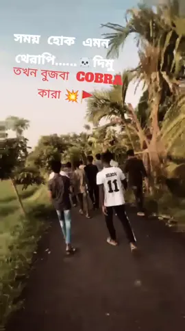 #COBRA #Top #🚩💥