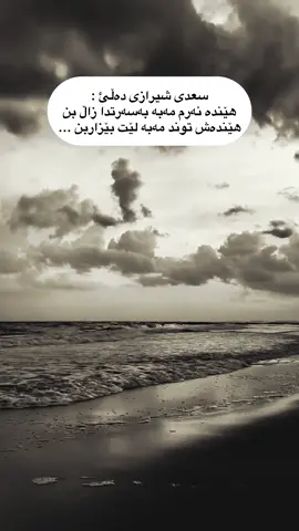 سعدى شيرازى ده لئ#foryou #iraq_bd #erbil #folome #actives?🥺💔 