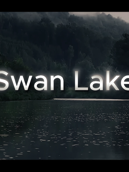 This segment felt like a whole fcking movie I just had to 🦢🎥 (ts is so stupid lol) @Sakura @sakurawrxd @itskatchii #sakurashymko #movie #edit #swans 