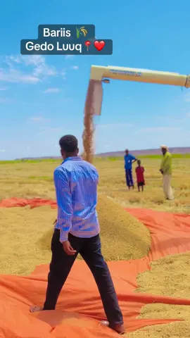 💚🌿🌴#foryoupage #fyp #somalitiktok #fypシ゚ #fypシ゚ #somalia #vairal 