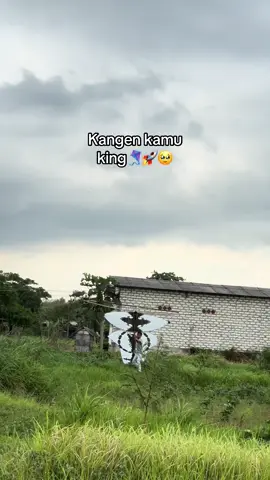 aku kangen king🥹#fy #fyp #layangankaksekaan #layanganmadura #viraltiktok 