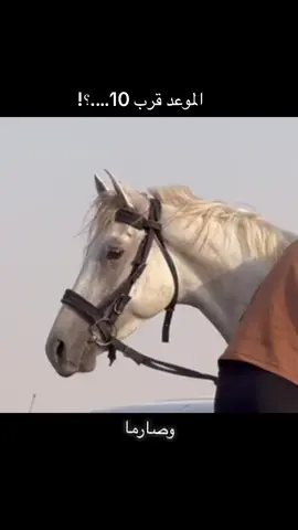 #الخيل_من_خيالها #الخيل_عشق_لاينتهي🐎❤️ #الخيل_من_خيالها_🧿🧿الخيل_أعلم_بفرسانها🧿🐎🐎 #هايلوكس_2015 #@مثنى السطام (ابوالحارث) @عمر السطام @رداد الجـنـابـي 🏇 @هــادي الــثــابــتــي @«بــن سلـطــان جــبــــر🏇» @محمود الملا @سلطان القدوري @فرسان الحجاج💙 @رابطة فرسان وخيالة قضاء العلم. @محمد 🫶🏻♥️🐬🏇🏿🐎 @محمد عبدالنبي الدوري @رابطة فرسان قضاء الدور 🏇 @رابطة🐎 فرسان 🐎شمر 