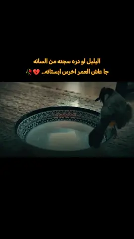 #عباراتكم_الفخمه📿📌❤️#متابعه #تصميم_فيديوهات🎶🎤🎬 