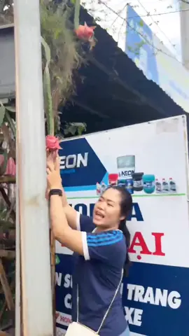 chị em ba báo🤣🥰😍😂🤩