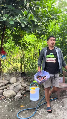 Yg belum pernah makan belut pasti di kira makan ular pdhal enak pol loh belut protein e tinggi 