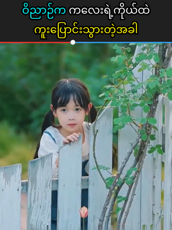 ရုတ်တရက် ခန္ဓာကူးပြောင်းသွားတဲ့အခါ... #TranslateHubMm #foryou #fyp 