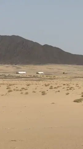#اكسبلور 