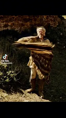 #limbuscompany #donquixote #sancho #limbus #limbuscompanymeme 