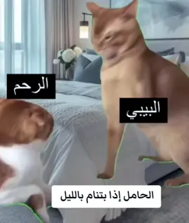 #حمل #حملي_الاول #بيبي #ضحك😂 #ضحكة 