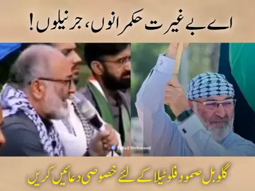 اے بے غیرت حکمرانوں ، جرنیلوں ! #senatormushtaq #senatormushtaq  #PakWarShip4Gaza #PakWarShip4Gaza  #goviralvideo #goviralvideo #goviralvideo 