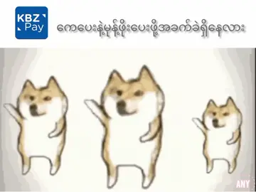 မုန့်ဖိုးပေးကြပါ #သီတင်းကျွတ် #foryoupage #fyp #foryou 