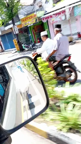 #palang
