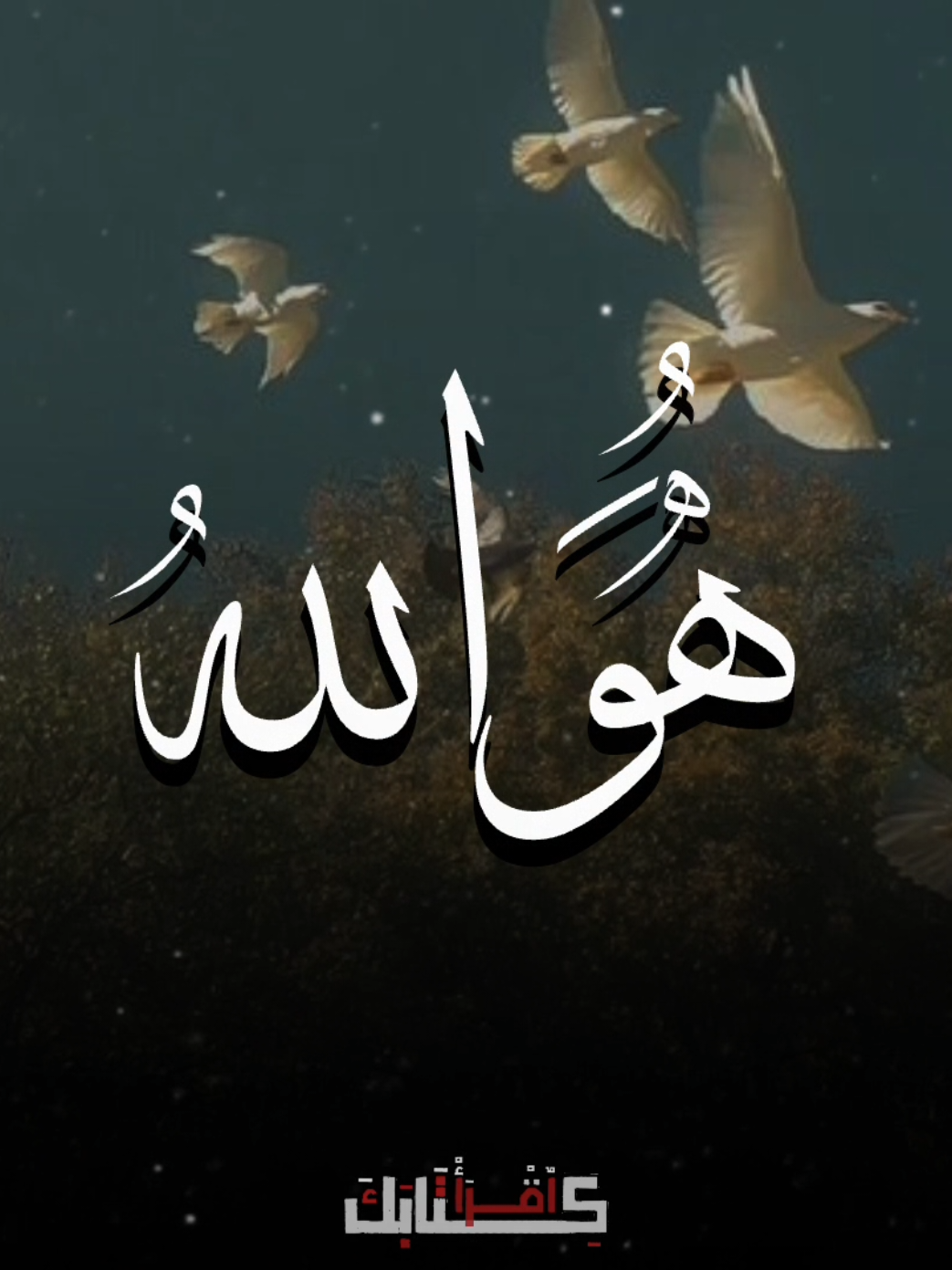 🦩| هُوَ الرَّحْمَنُ الرَّحِيمُ 🥺 .  .  .  #قران #quran #الشيخ_عبدالله_كامل 