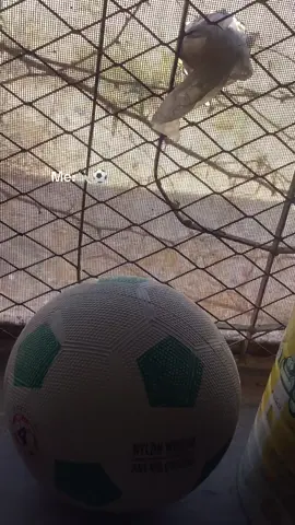 Dhaar baan iska riday #football 