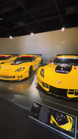 Corvette racing^^ #cartok #carvideos #carcollection #racing #corvette