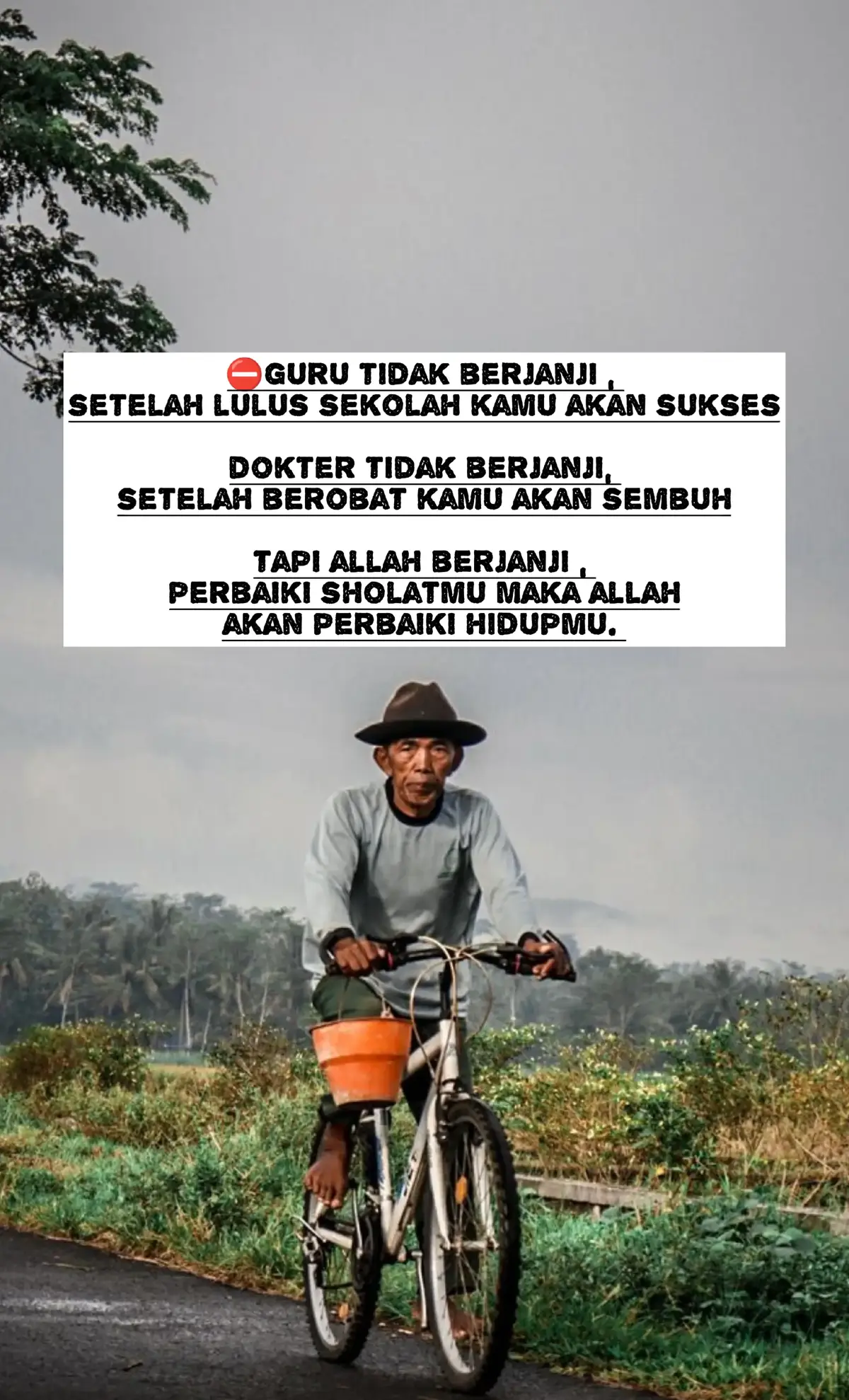 #faktahidup #kisahhidup #takdirhidup #motivasi #quotes