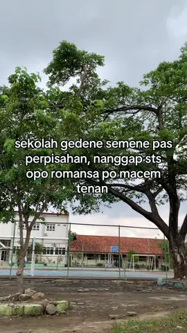 ses tnn #infoorkes #sts #romansa #fyp #smanskademak 