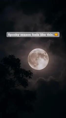 the cozy kind of spooky I like 🕯️                      #spookyseason #cozyspooky #halloweenaesthetic #creativedirector #cozytok
