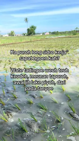 #fyp #viral #soundviral #indonesia #naganraya 
