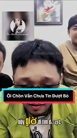 Ôi Chồn Vẫn Chưa Tìn Đượt Bò  #meothuviec 