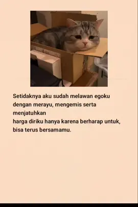 #katakatasedih #katakatabijak #fyp #viral #laguindia 