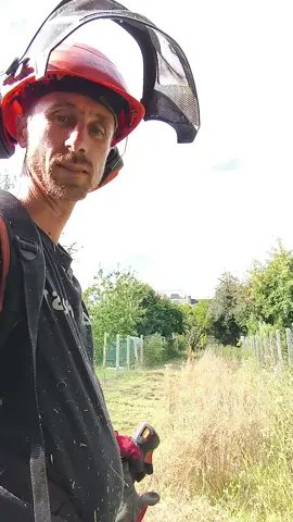 faut être fou quand même 1200 km allée retour  dans la journée pour 2 heures de débroussailleuse . comme on dit a cœur vaillant rien d'impossible 🤘🤣 #humour #fyp #paysagiste#herbe #stihl 