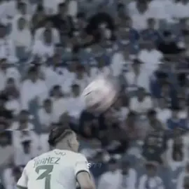عن تاريخهم 🪨💙