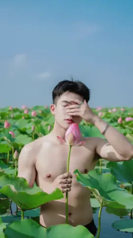 Ngó sen hồng đính duyên trên áo...💔#capcut #tiktok #gamini #top#1m 