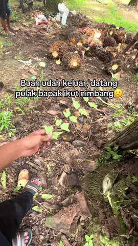 Gagal deh😁