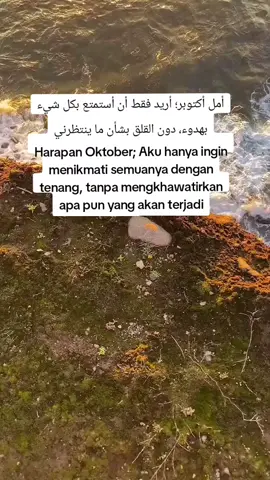 #semangatsimggelmoms #fypdongggggggggシ #amiinyarobalallamiin🤲 