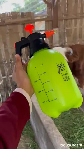 Halo dulur ngarit. Rekomendasi semprotan pompa manual untuk berbagai macam kebutuhan penyemprotan.  #fyp #viral #semprotan #spray #semprotanpompa 