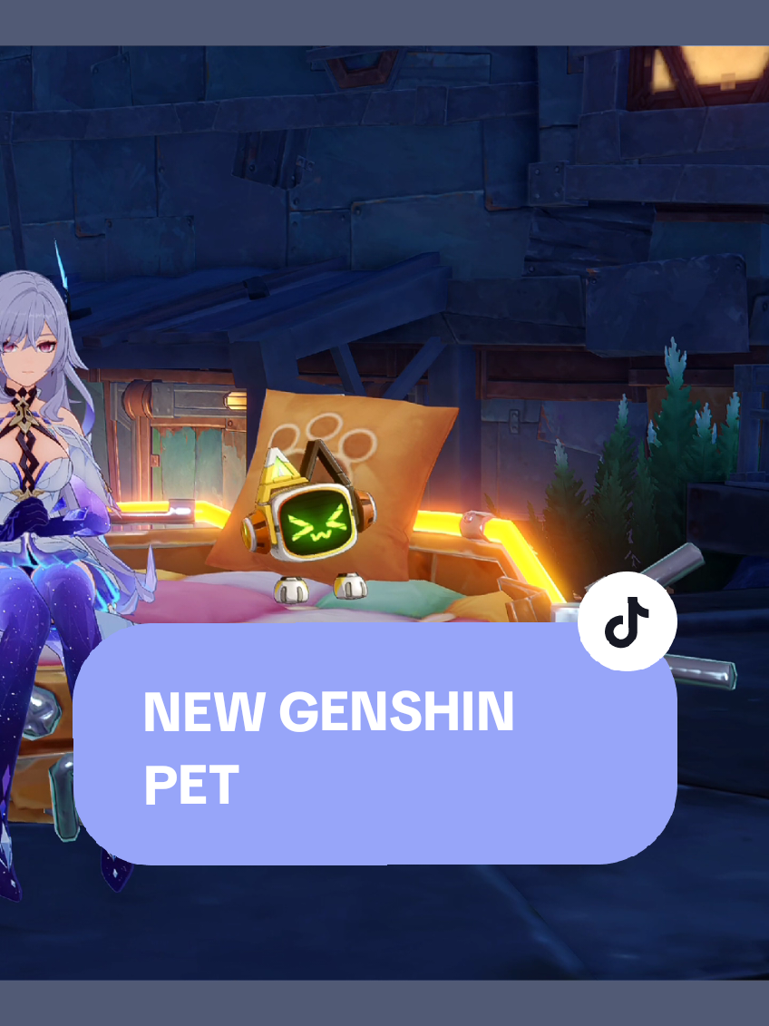 BEST PET IDC >0< #GenshinImpact #genshin #genshinimpactedit #genshinedit #genshinimpact33 