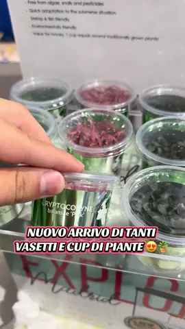 Nuovo arrivo di tanti vasetti e cup di piante 😍🪴