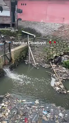 #viraltiktok #beritaterkini #fyppppppppppppppppppppppp 