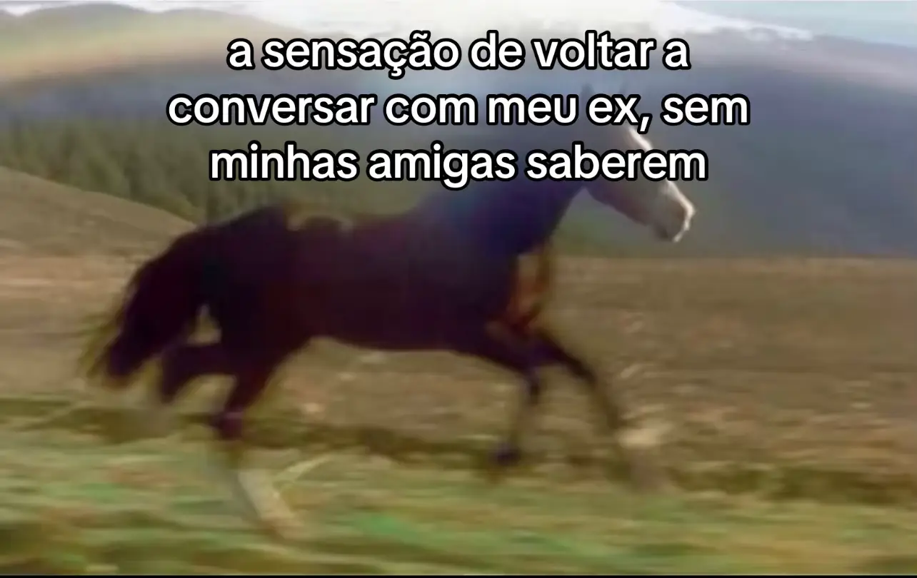 #voltavida #wildhorses 