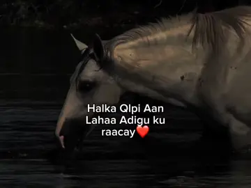 ❤️ . .