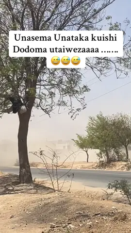 Dodoma ikinuna … utapendaaaa …. 😅😅😅  #dodoma  #dodomatanzania🇹🇿  #fyppppppppppppppppppppppp  #tanzaniatiktok  #dodomatiktok 