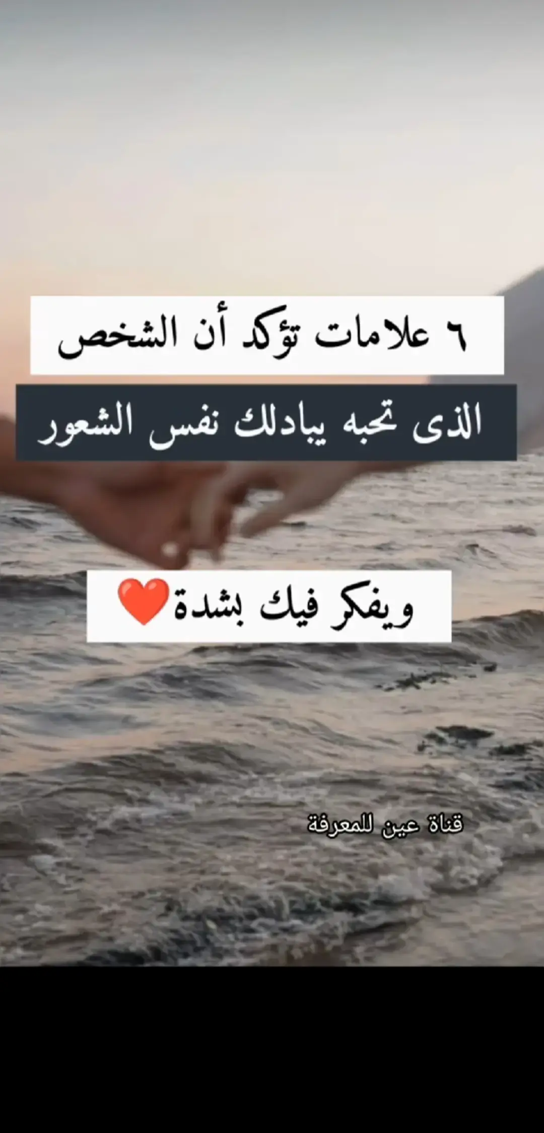 #creatorsearchinsights #معلومات 
