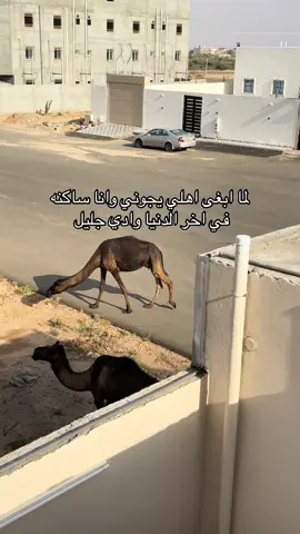 #جليل #الطائف #الحوية #الاسكان #مالي_خلق_احط_هاشتاقات 