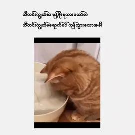 မုန့်ဖိုးပေးကြအုံး😖😖😫#fypage #fypviraltiktok🖤シ゚☆♡ 