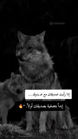 #fyp #F #f #شلفاوة_والحلاوة🔥 #شعب_الصيني_ماله_حل😂😂 