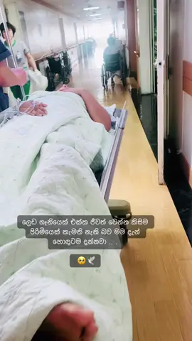 සල්ලිම ජීවිතේ නොකරගත්ත ගෑනුන්ට අන්තිමට අත්වෙන්නේ මේ ඉරණම කියලා මම දැන් දන්නවා .. .🥺💔 #yashi_s_l #herlzz_s_l #hospitallife #කොරියාවේ_අපි #කොරියන්_ජීවිතේ_🇰🇷 
