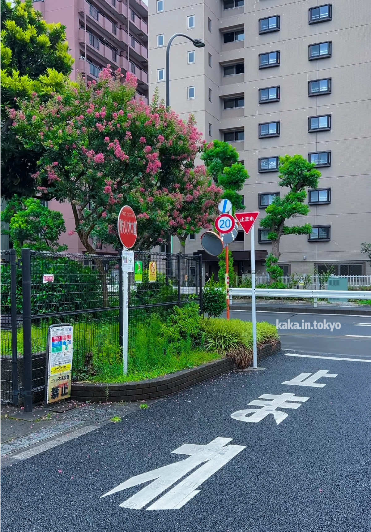 なんかね、ずっと雨の東京がいちばんきれいだって思ってた。 ☔️ #rain #vibes #japan #tokyo #rainyday 